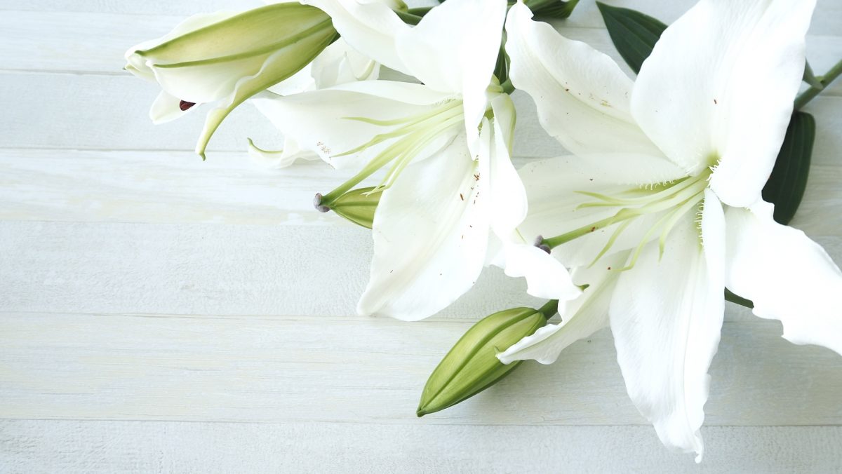 伝統を裏切る現代感覚モダン位牌の衝撃的新提案