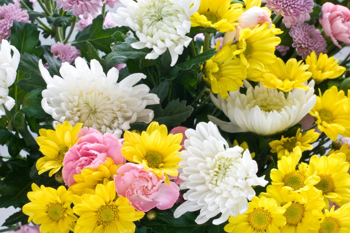 伝統を壊す覚悟が必要なモダン位牌選びの秘密