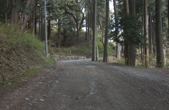 ペットを失ったあなたは何を残せるのか愛と喪失と供養の位牌に託す本当の願い